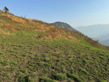 25 Acre/500 nali premium land for sale