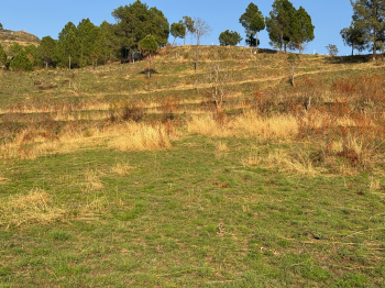 Property for sale in Tehri, Tehri Garhwal