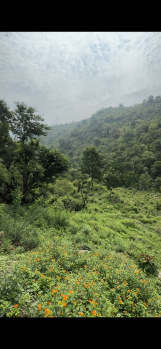 Property for sale in Neelkanth Road, Rishikesh