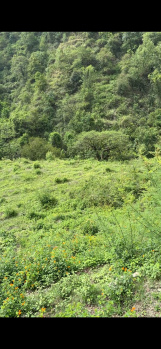 Property for sale in Neelkanth Road, Rishikesh
