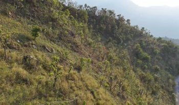 Property for sale in Tehri, Tehri Garhwal