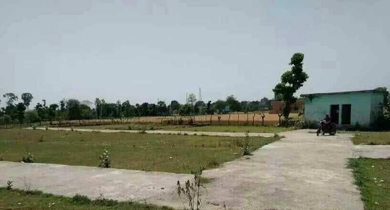 Residential Plot for Sale in Raiwala, Haridwar (365 Sq. Yards)