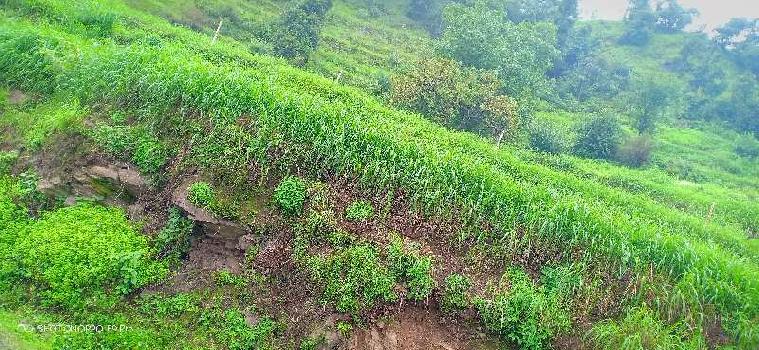 Agricultural/Farm Land for Sale in Uttarakhand (100 Bigha)