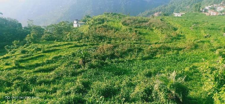 Agricultural/Farm Land for Sale in Narendra Nagar, Rishikesh (16 Bigha)