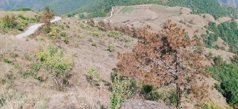 Agricultural/Farm Land for Sale in Mussoorie Road, Dehradun (285 Bigha)