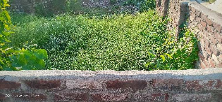 Residential Plot for Sale in Dhalwala, Rishikesh (350 Sq. Yards)