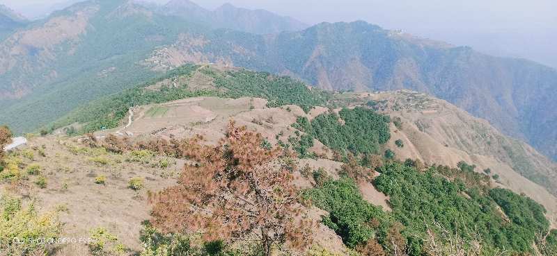 Agricultural/Farm Land for Sale in Mussoorie, Dehradun (395 Acre)