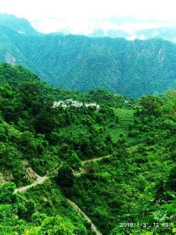 Agricultural/Farm Land for Sale in Pauri, Pauri Garhwal (1250 Bigha)