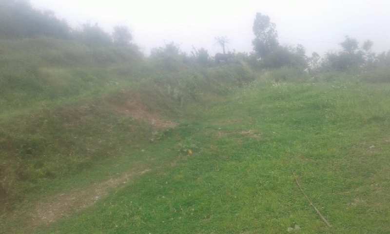 Agricultural/Farm Land for Sale in Neelkanth Road, Rishikesh (6 Bigha)