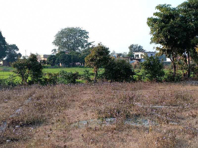 Commercial Lands /Inst. Land for Sale in Rani Pokhari, Dehradun (108 Bigha)