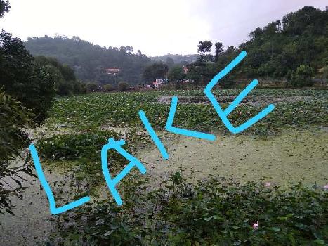 Agricultural/Farm Land for Sale in Bhimtal, Nainital (1 Bigha)