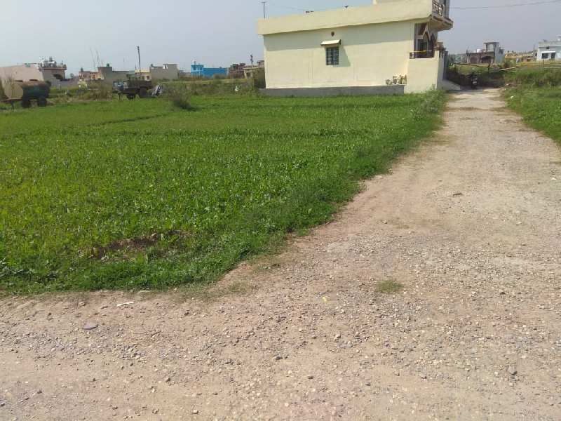 100 Sq. Yards Residential Plot for Sale in Shyampur, Rishikesh