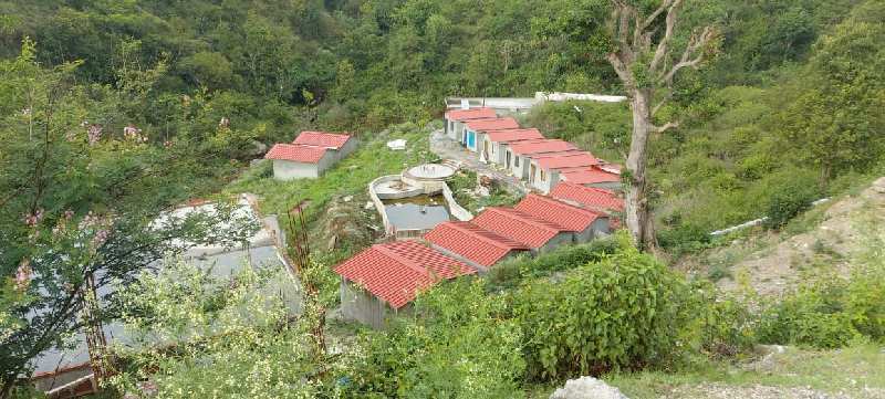 4800 Sq. Yards Agricultural/Farm Land for Sale in Neelkanth Road, Rishikesh