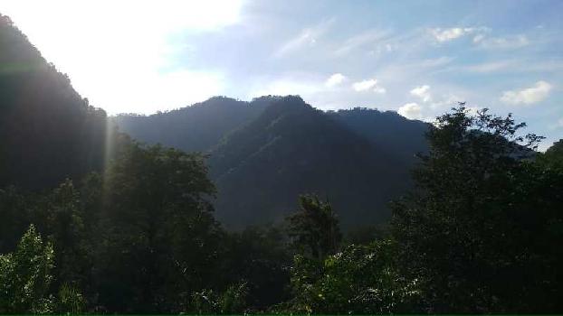 250 Acre Agricultural/Farm Land for Sale in Yamkeshwar, Pauri Garhwal