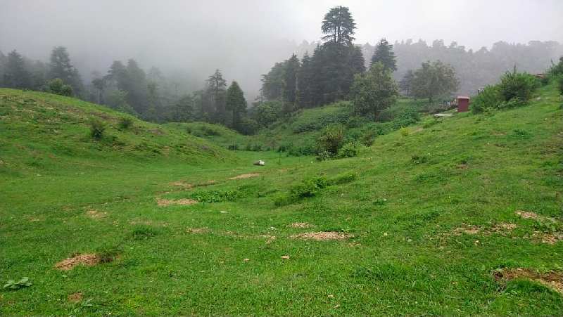 Mussoorie 160 Bigha land for sale