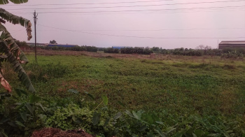 12 Bigha Industrial Land / Plot for Sale in Gurap, Hooghly