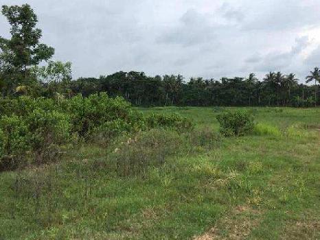 104 Bigha Industrial Land / Plot for Sale in Panchla, Howrah