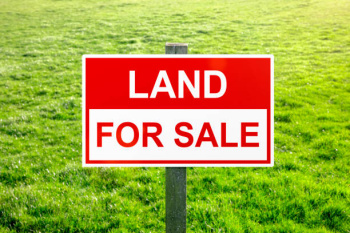 25000 sq ft land for sell at Lava - Best for Warehousing