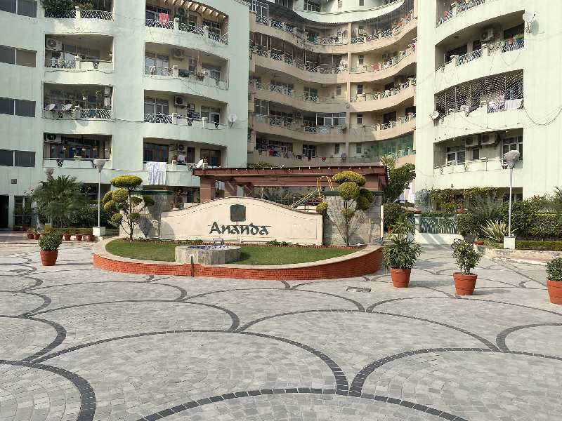 4 BHK Flats & Apartments for Sale in Sector 48, Noida (2400 Sq.ft.)