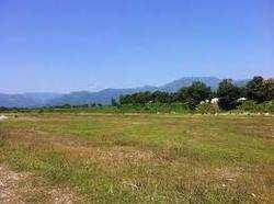 Agricultural Land For Sale In Brij Ghat, On 60Ft Road From Brij Ghat to Buland Shahar Road
