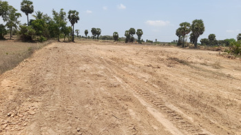 Agricultural/Farm Land For Sale In Kalavai, Vellore (130 Cent)
