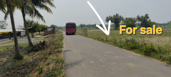 Agricultural/Farm Land For Sale In Kalavai, Vellore (28 Cent)