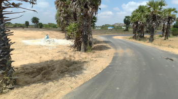 Farm Land For Sale In Kalavai, Ranipet District