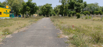 Residential Plot For Sale In Kalavai, Vellore (908 Sq.ft.)