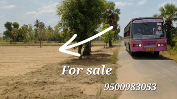 Agricultural/Farm Land For Sale In Kalavai, Vellore (55 Cent)