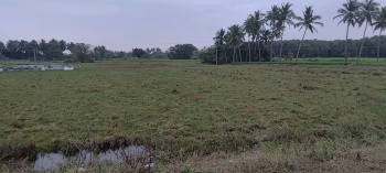 Agricultural/Farm Land for Sale in Kalavai, Vellore (2 Acre)