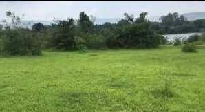 213000 Guntha Agricultural/Farm Land for Sale in Kamshet, Pune