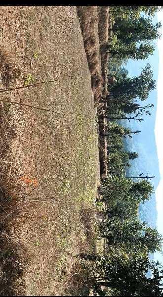 25 Guntha Agricultural/Farm Land for Sale in Mahad, Raigad