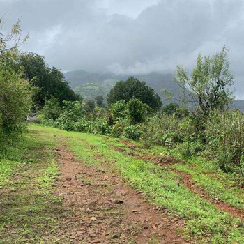 15 Acre Agricultural/Farm Land for Sale in Mahad, Raigad