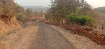 2 Acre Agricultural/Farm Land for Sale in Mahad, Raigad