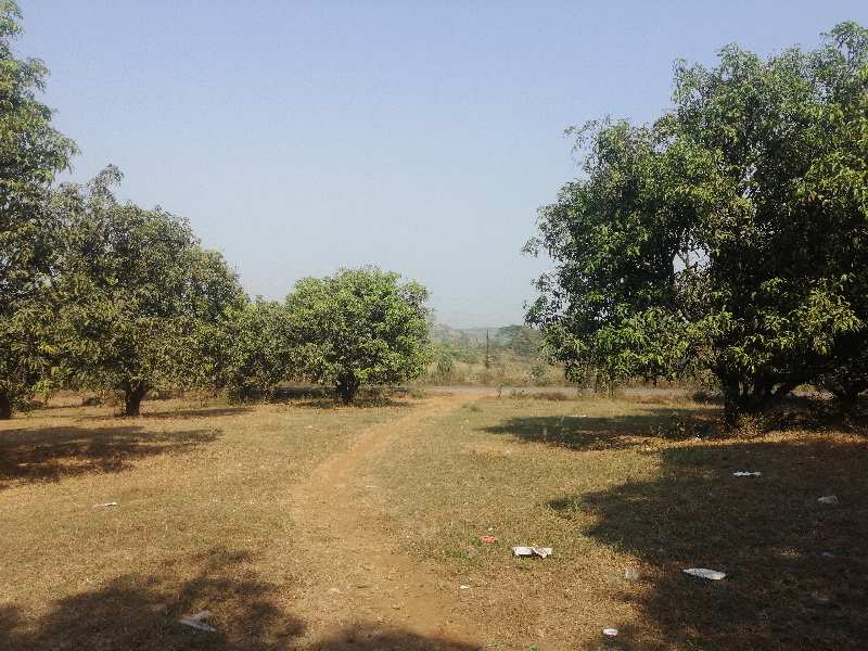 4 Acre Agricultural/Farm Land for Sale in Silvassa Bhilad Road, Silvassa