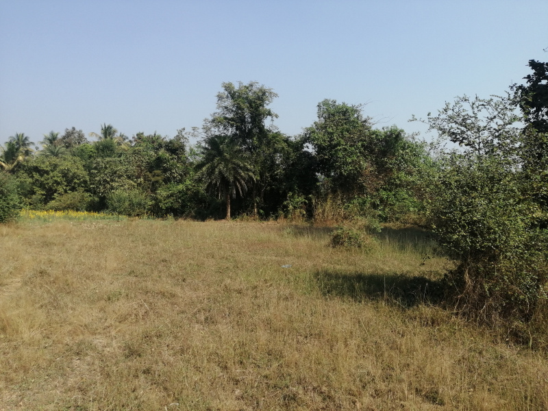 4 Guntha Agricultural/Farm Land for Sale in Sayli Road, Silvassa