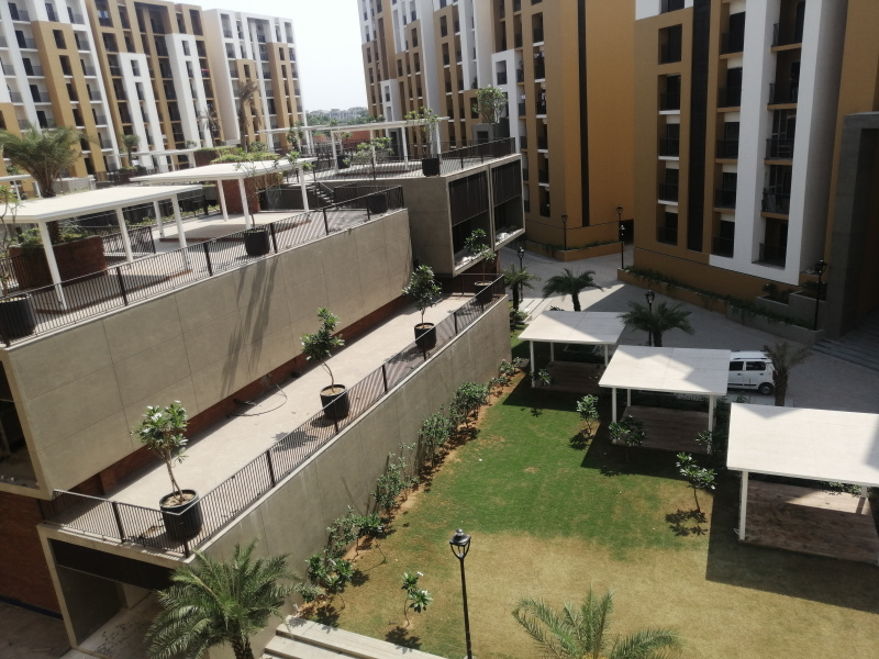 2 BHK Flats & Apartments for Rent in Tokarkhada, Silvassa (1310 Sq.ft.)