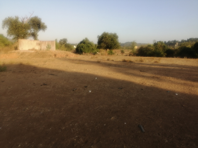110 Guntha Agricultural/Farm Land for Sale in Dadra & Nagar Haveli