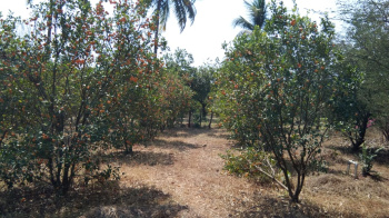 Industrial Land / Plot for Sale in Bhilad, Vapi (5 Acre)
