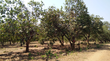 Property for sale in Bhilad, Vapi