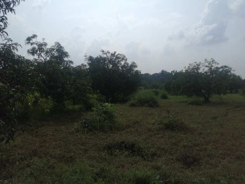 100 Acre Industrial Land / Plot for Sale in Silvassa Bhilad Road, Silvassa