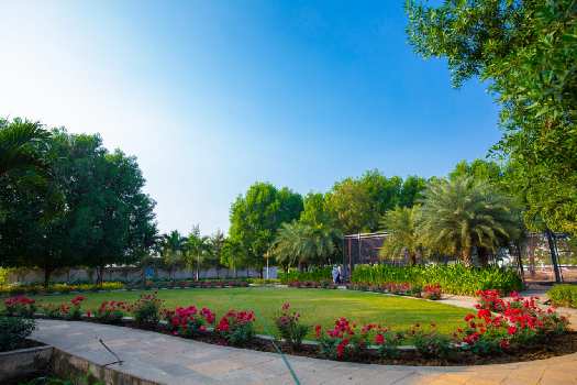 Property for sale in Bhatagaon, Raipur
