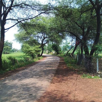 Property for sale in Amleshwar, Raipur