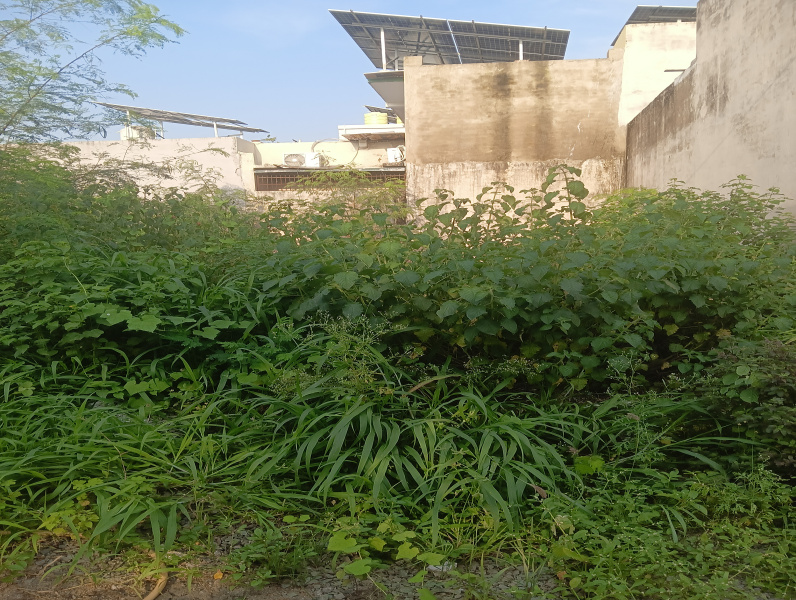 Residential Plot for Sale in Vidhan Sabha Road, Raipur (1000 Sq.ft.)