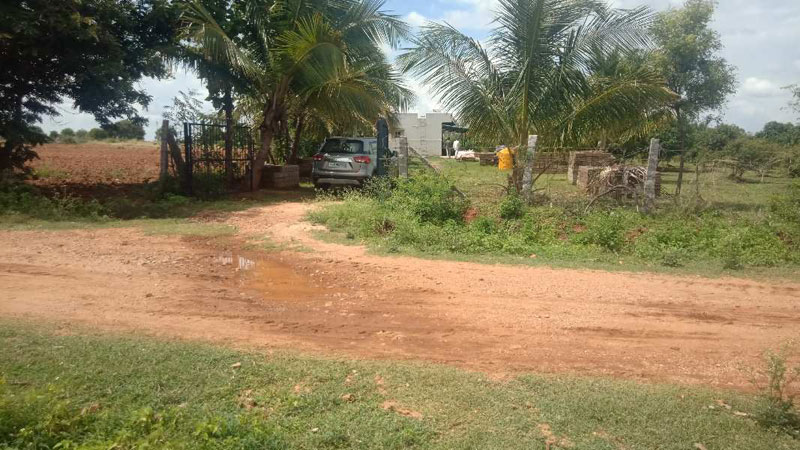 6 Acre Agricultural/Farm Land for Sale in Hindupur, Bangalore