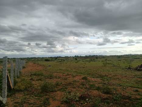 100 Acre Agricultural/Farm Land for Sale in Hindupur, Anantapur