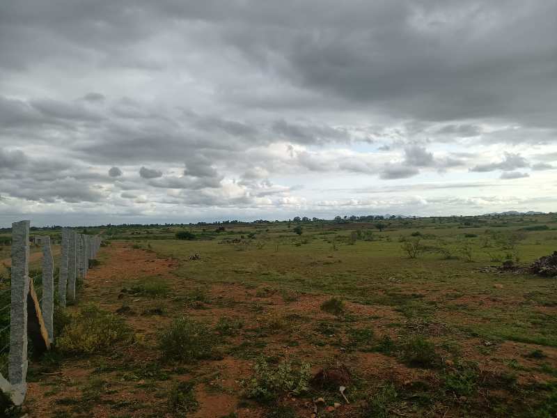 100 Acre Agricultural/Farm Land For Sale In Hindupur, Anantapur