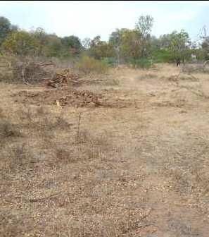 16 Acre Agricultural/Farm Land for Sale in Lepakshi, Anantapur
