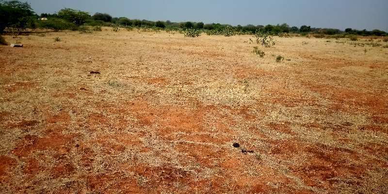 10.50 Acre Agricultural/Farm Land for Sale in Hindupur, Anantapur