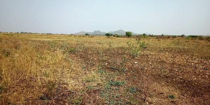 8.5 Acre Agricultural/Farm Land for Sale in Palasamudram, Anantapur